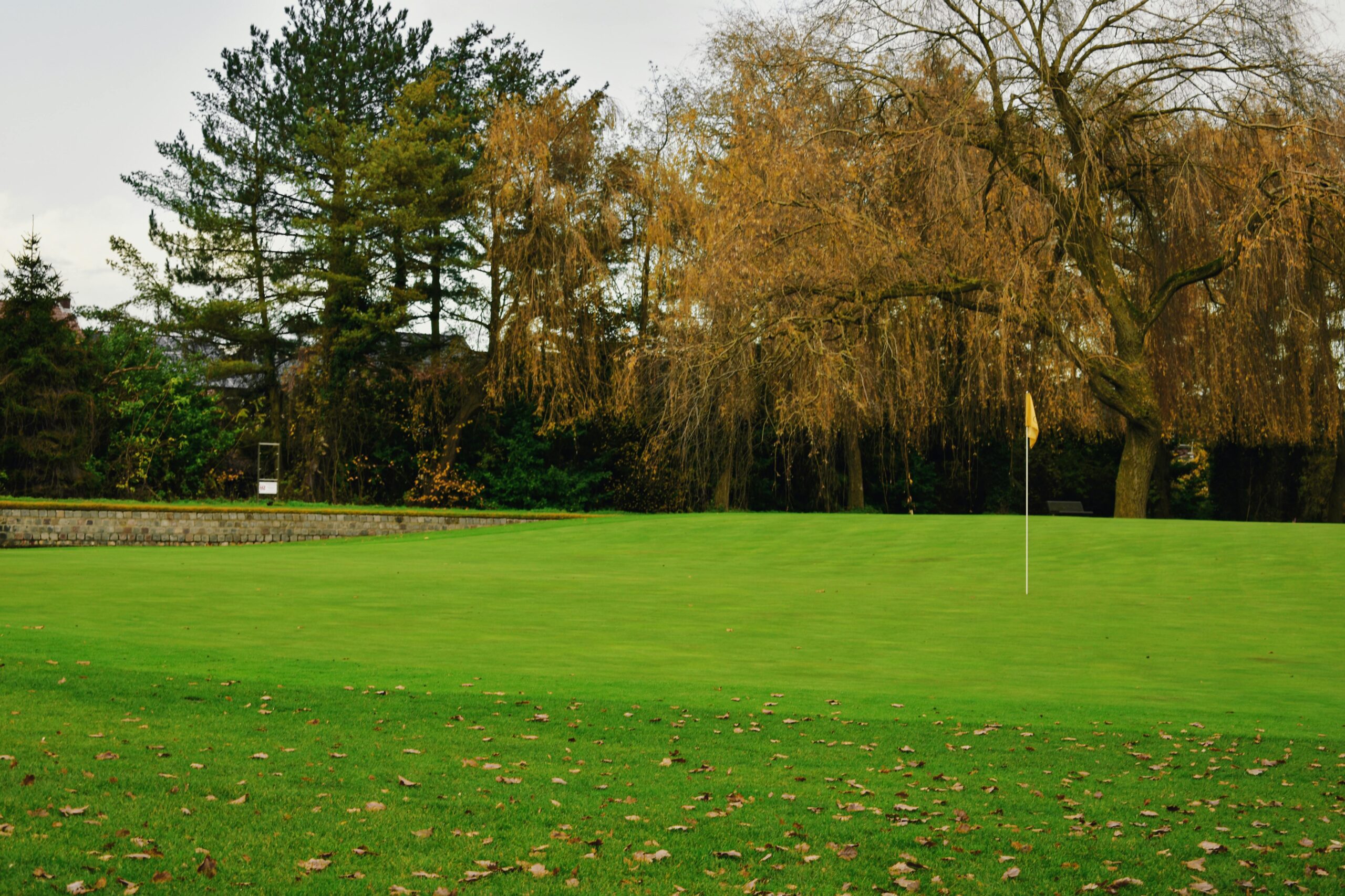 Tranquil golf course in autumn, featuring lush green lawn and golden trees under clear sky.